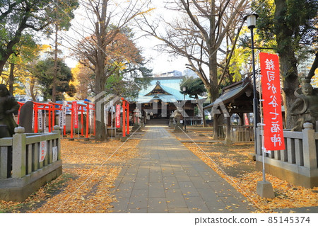 豐島區南池袋岸島町 85145374