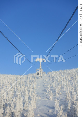 Rime on trees, hoarfrost, Zao Rime on trees, hoarfrost, Zao 85145524