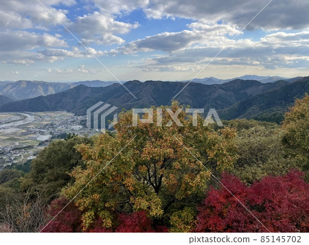 Autumn leaves 85145702