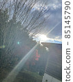 Autumn leaves 85145790