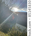 Autumn leaves 85145830