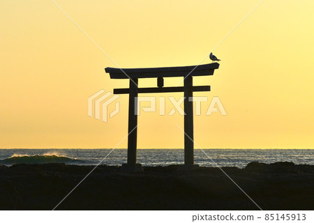 清晨的海和海鷗棲息的鳥居 清晨的海和海鷗棲息的鳥居 85145913