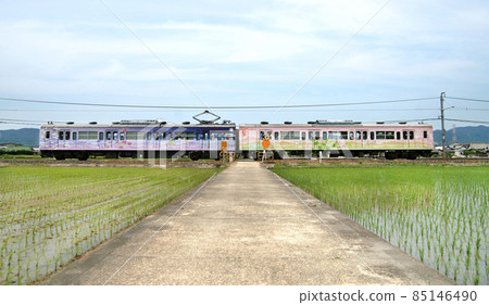 萬葉電車和歌山線 和歌山市 萬葉電車和歌山線 和歌山市 85146490