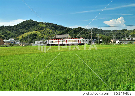 夏日風光和歌山電鐵岸川線草莓列車 夏日風光和歌山電鐵岸川線草莓列車 85146492