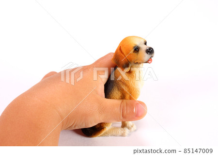 蹣跚學步的手拿著狗玩具 85147009