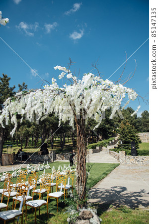 Premium arch for wedding ceremony for newlyweds on the river bank with wisteria trees 85147135