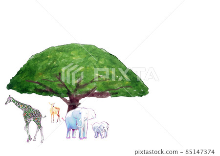 草原 草原 85147374