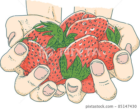 Two-handed cut illustration with many strawberries Two-handed cut illustration with many strawberries 85147430