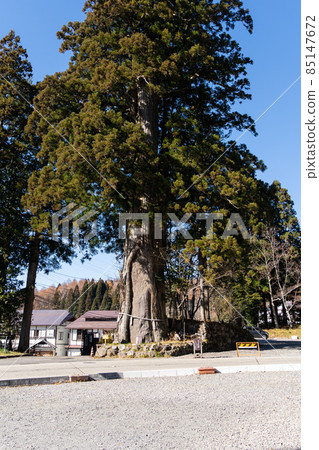 [Nagano Prefecture] Togakushi Shrine 85147672