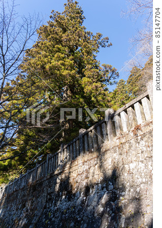 [長野縣]戶隱神社 85147704