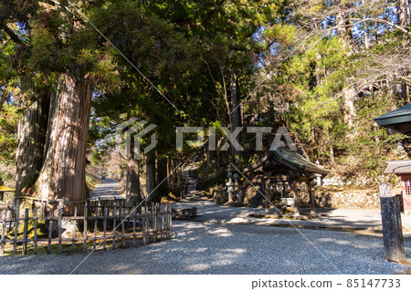 [長野縣]戶隱神社 85147733