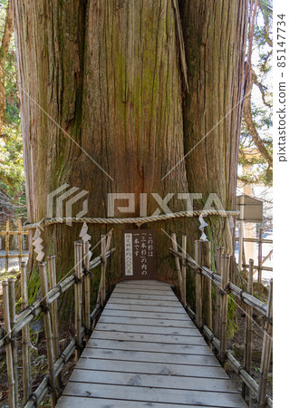 [Nagano Prefecture] Togakushi Shrine 85147734