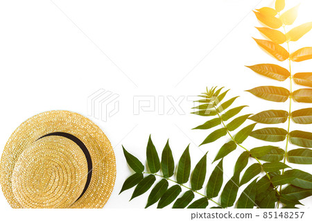 Green leaf branches and straw haton white background. flat lay, top view. Sun Flare Green leaf branches and straw haton white background. flat lay, top view. Sun Flare 85148257