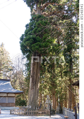 [長野縣]戶隱神社 85148341