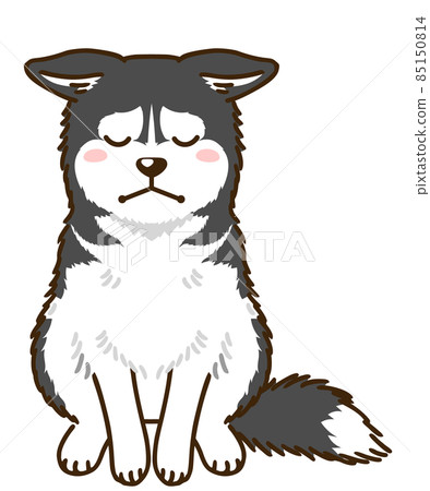 Siberian Husky (Black & White) Siberian Husky (Black & White) 85150814