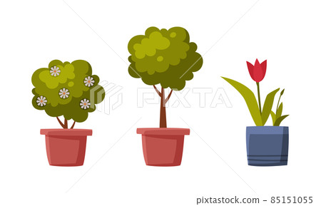 Garden Blooming Flower and Growing Tree in Pot Vector Set 85151055