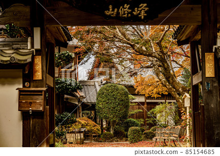 楠木觀音寺 楠木觀音寺 85154685