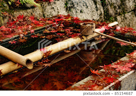 楠木觀音寺 楠木觀音寺 85154687