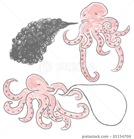 octopus  85154709