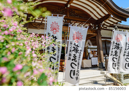東光院 東光院 85156003