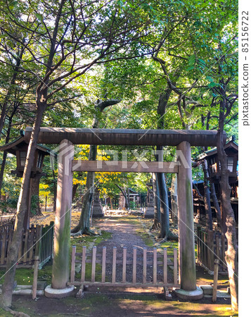 Remains of Shindo Munenryu Training Center in the precincts of Yasukuni Shrine in Kudan, Tokyo 85156722