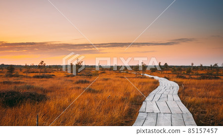 4K 5K Miory District, Vitebsk Region, Belarus. Yelnya Swamp Nature Reserve Landscape. Famous Natural Landmark. Sunset Wooden Hiking Trail Winding Through Marsh. Cognitive Boardwalk Trail Over A 85157457