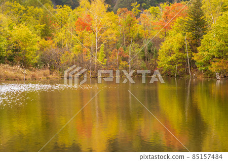 《長野縣乘鞍高原》舞池池 85157484