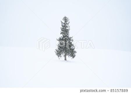 Christmas tree tree Christmas tree tree 85157889