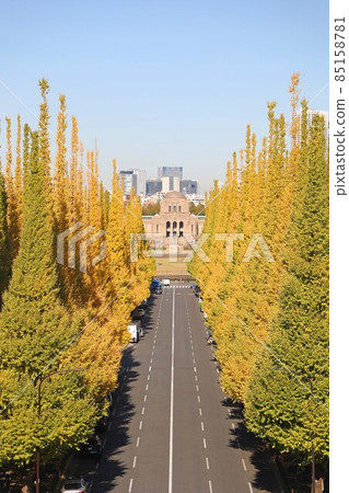 Meiji Jingu Gaien, a row of ginkgo trees 85158781