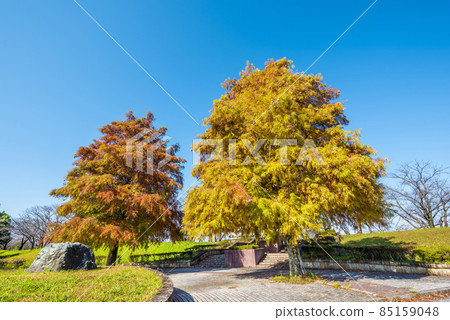 《愛知縣》春日井市落合公園 85159048