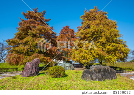 << Aichi Prefecture >> Kasugai City Ochiai Park 85159052