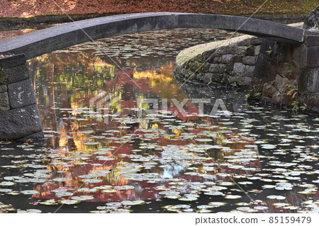 東京文京區小石川後樂園的雅緻石橋和水面倒影 85159479