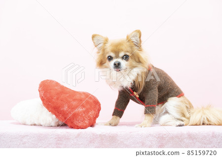 笑臉吉娃娃和心形墊 85159720