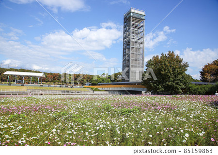 濱名湖花園公園 85159863