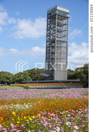 濱名湖花園公園 85159864