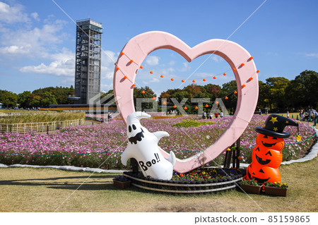 濱名湖花園公園 85159865