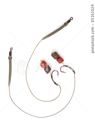 Bait fishing for carp 85161024