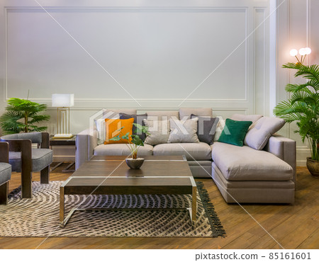 Gray sofa with colorful cushions placed and table on rug in spacious modern room with armchairs and green potted plants 85161601