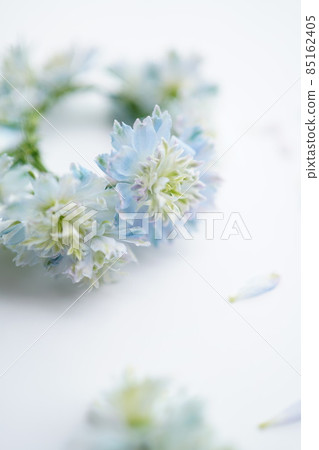 Corolla and petals made of delphinium 85162405