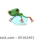 3D Illustration of a Green Frog on a Big Drop of Water 85162451