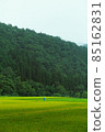 田間勞作的人類 85162831