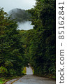 穿過山路 85162841
