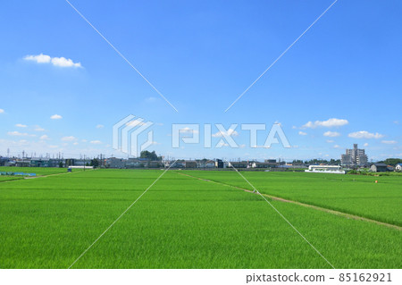 In 2021, the scenery from the Tobu-Tojo Line train window from Kawagoeshi Station to Yorii Station 85162921