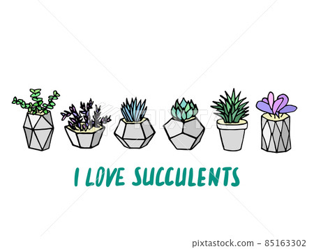 Set of succulents cactus houseplants in grey flower pots. Vector icons on white background Set of succulents cactus houseplants in grey flower pots. Vector icons on white background 85163302