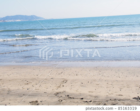 鎌倉海洋 鎌倉海洋 85163319