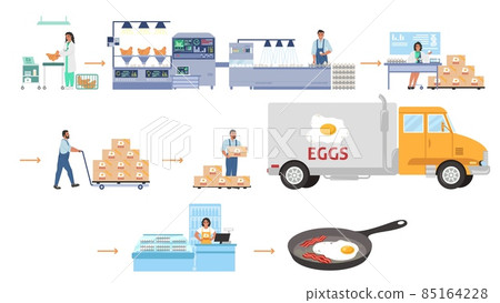 Poultry farming, egg production vector infographic. Chicken factory processing line, distribution, sale. Food industry. Poultry farming, egg production vector infographic. Chicken factory processing line, distribution, sale. Food industry. 85164228