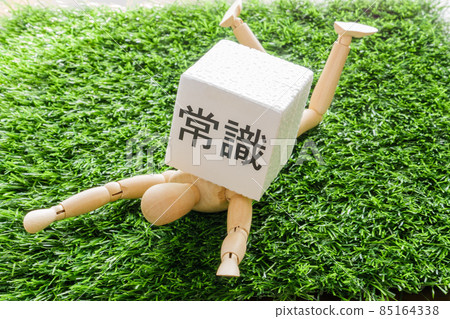 A drawing doll crushed by a cube written as common sense A drawing doll crushed by a cube written as common sense 85164338