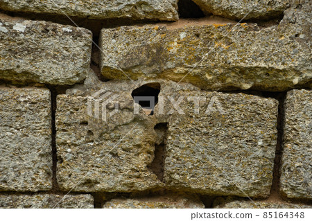 Shell rock wall, stone background close up Shell rock wall, stone background close up 85164348