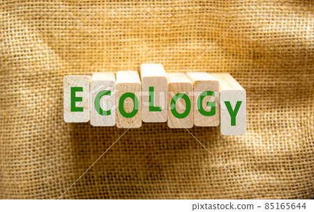 Ecology symbol. The concept word Ecology on wooden blocks. Beautiful canvas background, copy space. Business, ecological and ecology concept. 85165644