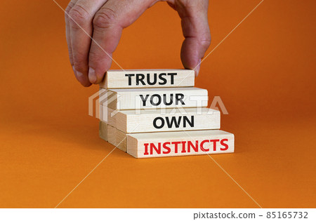 Trust your own instincts symbol. Wooden blocks with words 'Trust your own instincts'. Beautiful orange background. Businessman hand. Copy space. Business and trust your own instincts concept. Trust your own instincts symbol. Wooden blocks with words 'Trust your own instincts'. Beautiful orange background. Businessman hand. Copy space. Business and trust your own instincts concept. 85165732